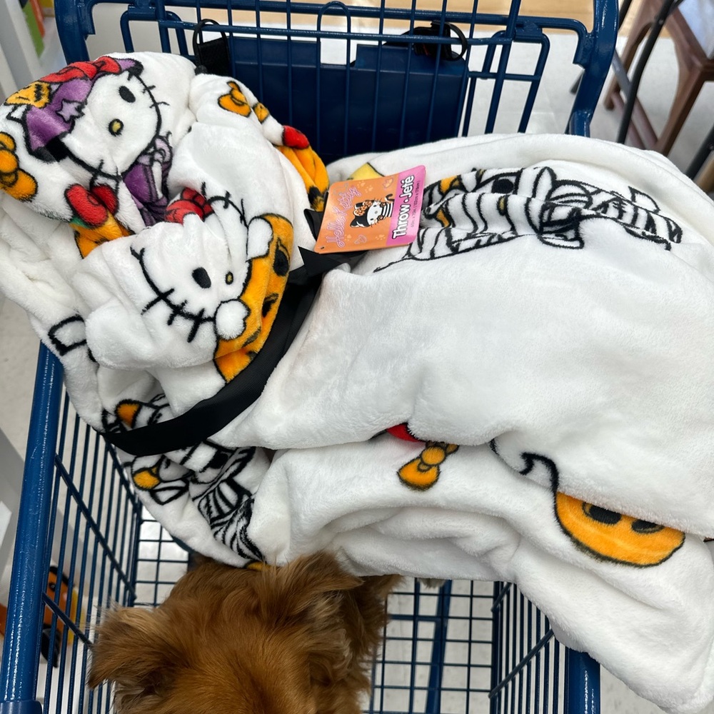 Hello Kitty Halloween Blanket (set of 2 blankets)